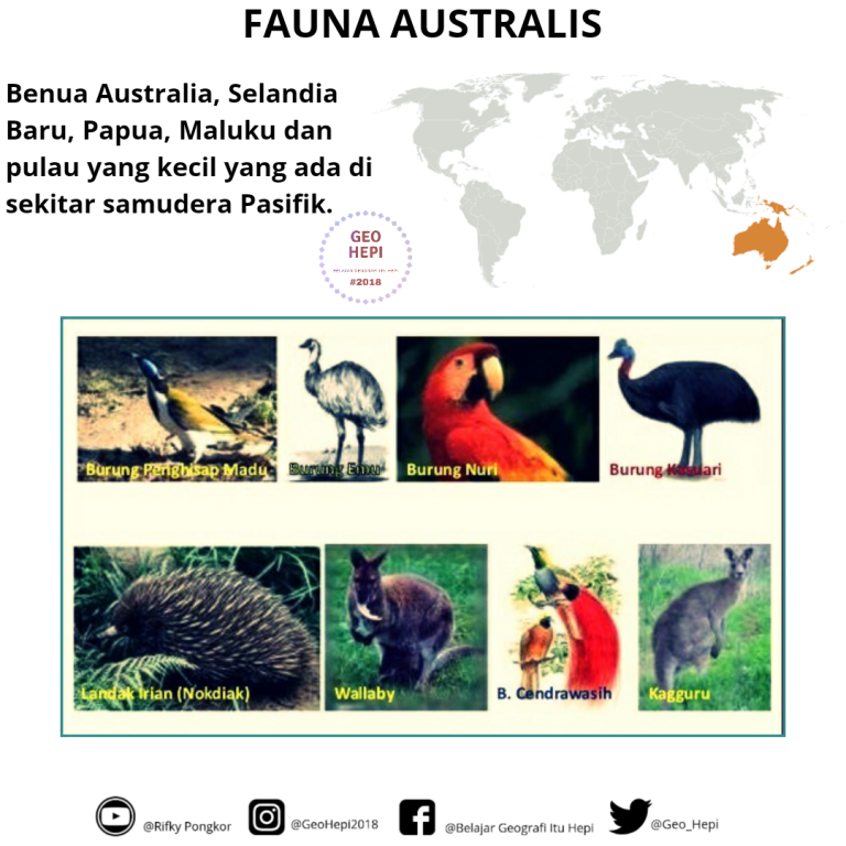 Flora Dan Fauna Dunia australis