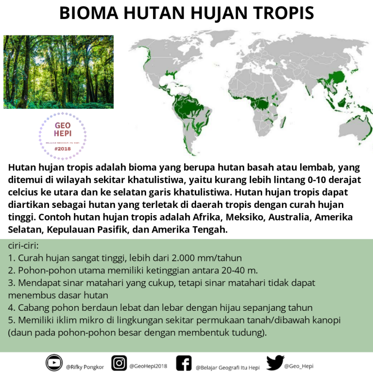 Flora Dan Fauna Dunia hutan hujan tropis