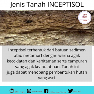 inceptisol