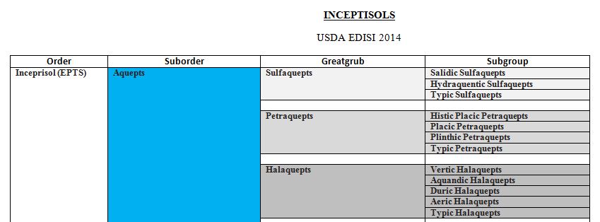 LAMPIRAN TANAH INCEPTISOLS DETAIL USDA EDISI 2014
